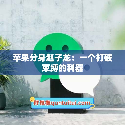 苹果分身赵子龙：一个打破束缚的利器