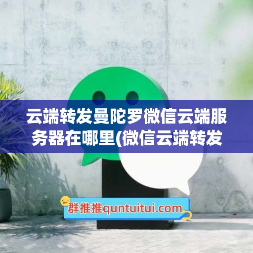 云端转发曼陀罗微信云端服务器在哪里(微信云端转发曼陀罗怎么弄)