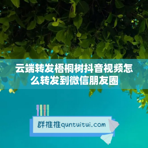 云端转发梧桐树抖音视频怎么转发到微信朋友圈