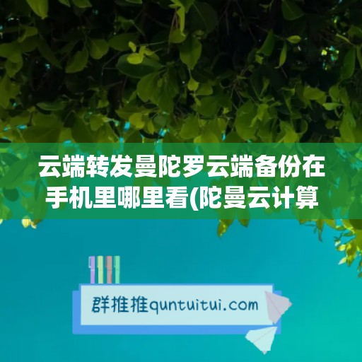 云端转发曼陀罗云端备份在手机里哪里看(陀曼云计算)