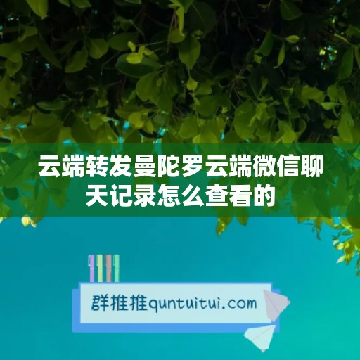 云端转发曼陀罗云端微信聊天记录怎么查看的