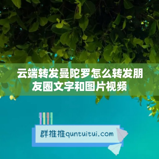 云端转发曼陀罗怎么转发朋友圈文字和图片视频