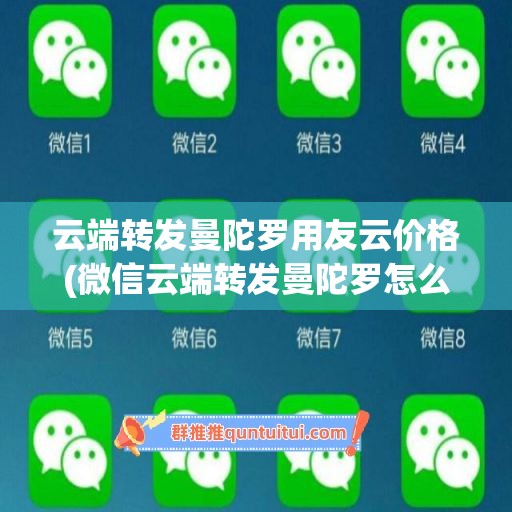 云端转发曼陀罗用友云价格(微信云端转发曼陀罗怎么弄)