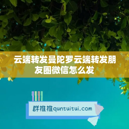 云端转发曼陀罗云端转发朋友圈微信怎么发