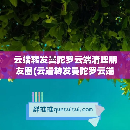 云端转发曼陀罗云端清理朋友圈(云端转发曼陀罗云端清理朋友圈会消失吗)