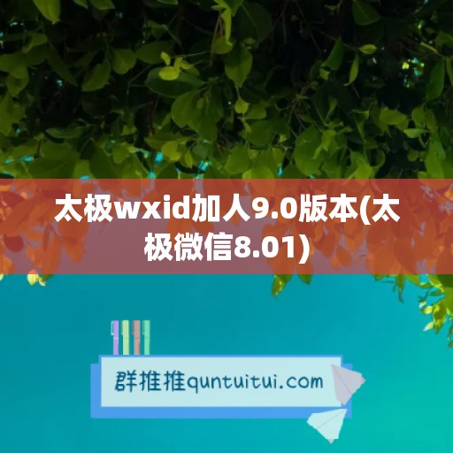 太极wxid加人9.0版本(太极微信8.01)