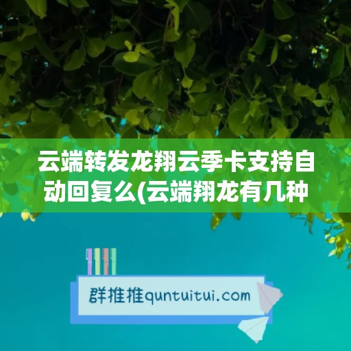 云端转发龙翔云季卡支持自动回复么(云端翔龙有几种)