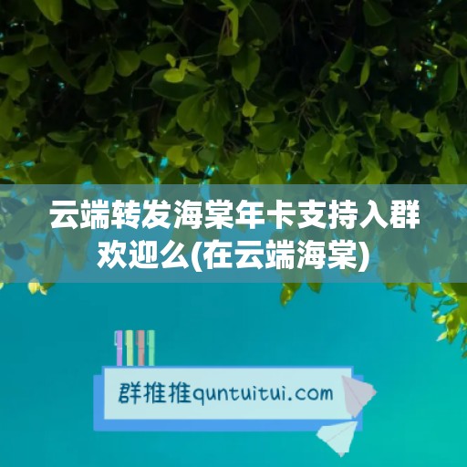 云端转发海棠年卡支持入群欢迎么(在云端海棠)