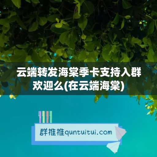 云端转发海棠季卡支持入群欢迎么(在云端海棠)