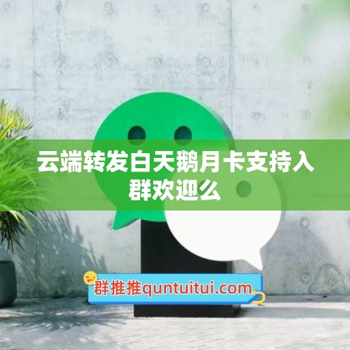 云端转发白天鹅月卡支持入群欢迎么