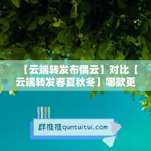 【云端转发布偶云】对比【云端转发春夏秋冬】哪款更值得选择