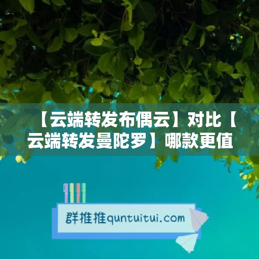 【云端转发布偶云】对比【云端转发曼陀罗】哪款更值得选择