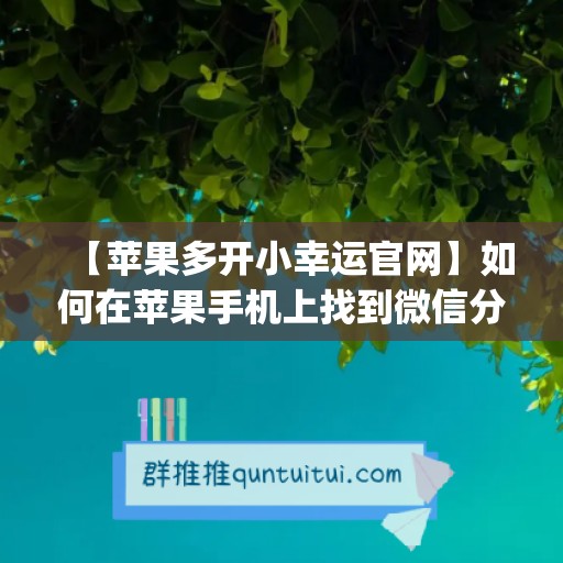 【苹果多开小幸运官网】如何在苹果手机上找到微信分身功能？(ios微信分身小微)