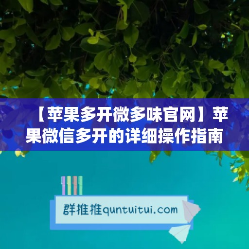 【苹果多开微多味官网】苹果微信多开的详细操作指南(苹果微信多开怎么用)