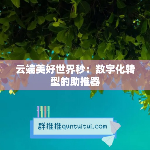 云端美好世界秒：数字化转型的助推器