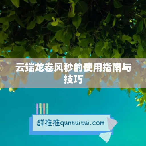 云端龙卷风秒的使用指南与技巧