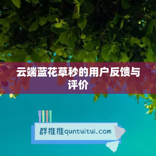 云端蓝花草秒的用户反馈与评价