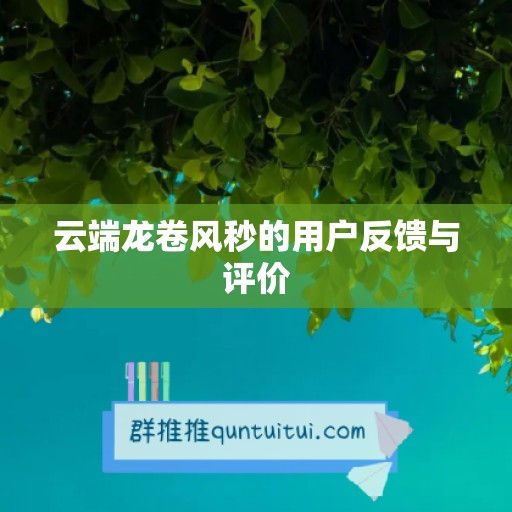 云端龙卷风秒的用户反馈与评价