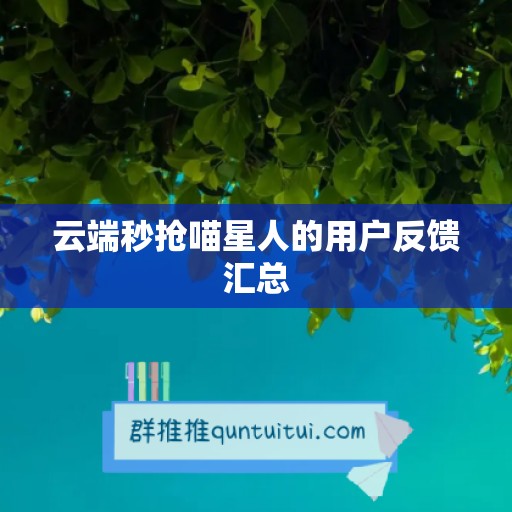 云端秒抢喵星人的用户反馈汇总