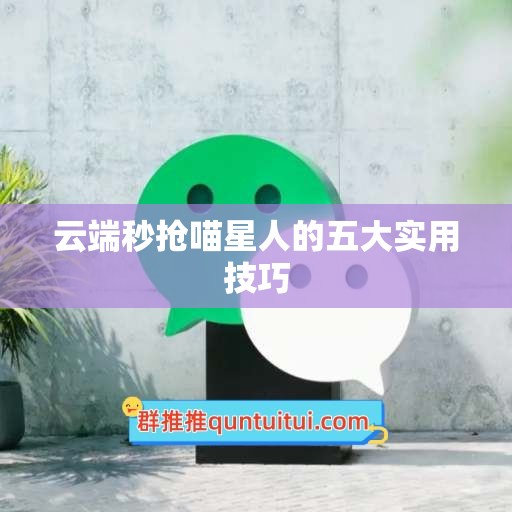 云端秒抢喵星人的五大实用技巧