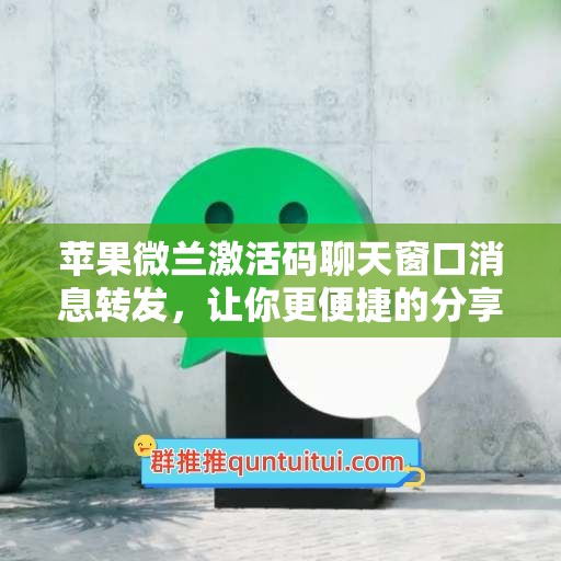 苹果微兰激活码聊天窗口消息转发，让你更便捷的分享信息