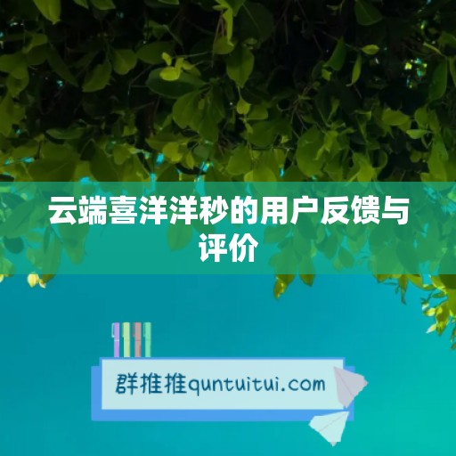 云端喜洋洋秒的用户反馈与评价