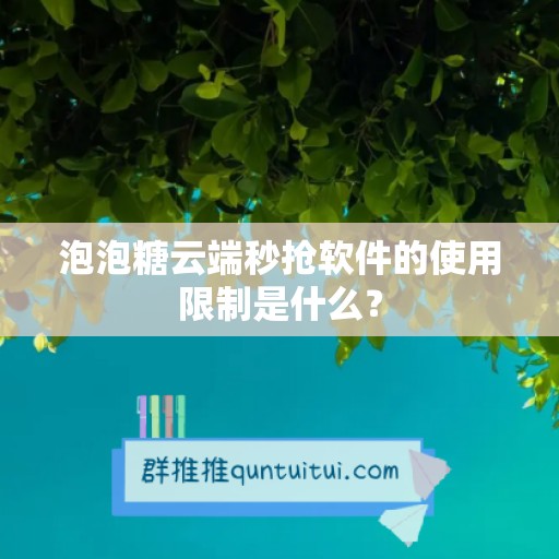 泡泡糖云端秒抢软件的使用限制是什么？