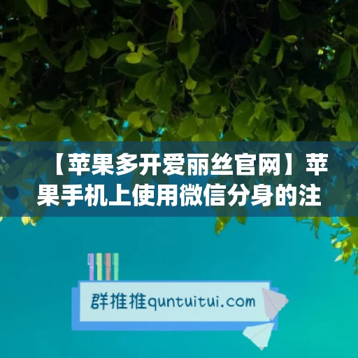 【苹果多开爱丽丝官网】苹果手机上使用微信分身的注意事项(爱思助手苹果微信分身)