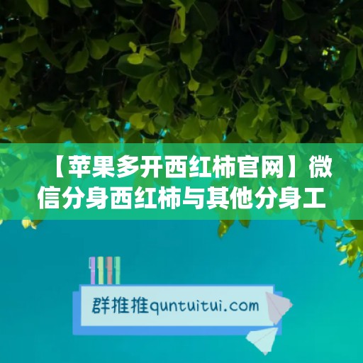 【苹果多开西红柿官网】微信分身西红柿与其他分身工具的对比(微信分身ios版西西软件)