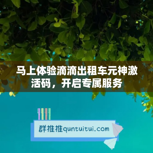 马上体验滴滴出租车元神激活码，开启专属服务