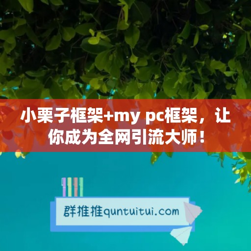 小栗子框架+my pc框架，让你成为全网引流大师！