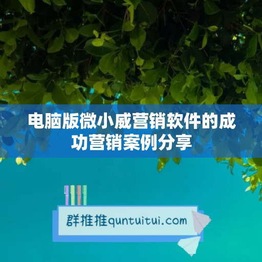 电脑版微小威营销软件的成功营销案例分享