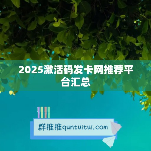 2025激活码发卡网推荐平台汇总