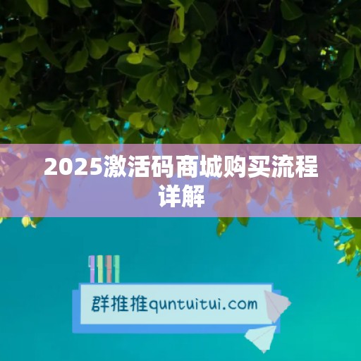 2025激活码商城购买流程详解