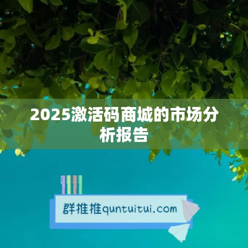 2025激活码商城的市场分析报告