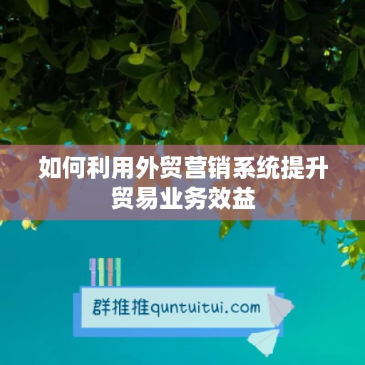 如何利用外贸营销系统提升贸易业务效益