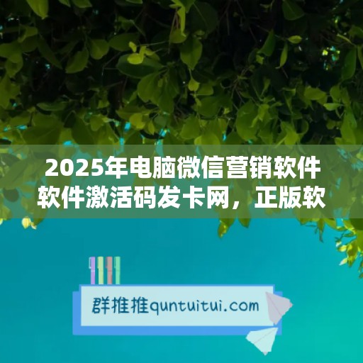 2025年电脑微信营销软件软件激活码发卡网，正版软件随心选！