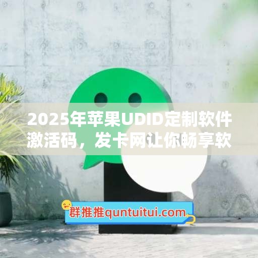 2025年苹果UDID定制软件激活码，发卡网让你畅享软件新世界！