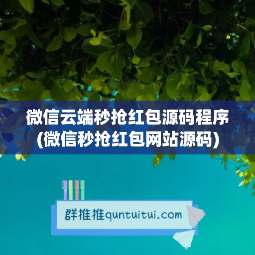 微信云端秒抢红包源码程序(微信秒抢红包网站源码)