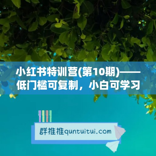 小红书特训营(第10期)——低门槛可复制，小白可学习