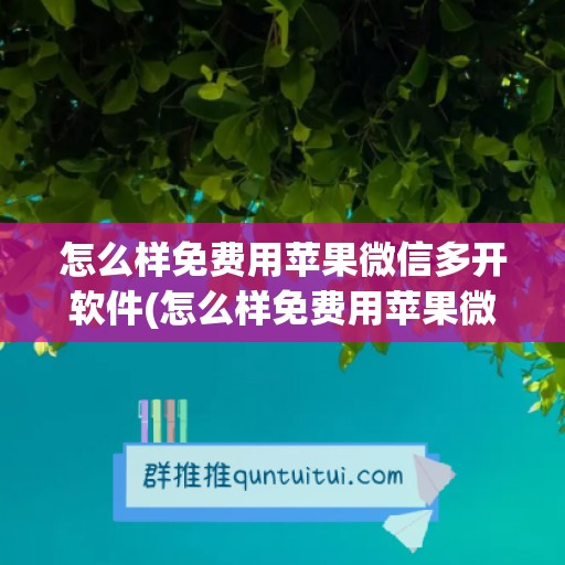 怎么样免费用苹果微信多开软件(怎么样免费用苹果微信多开软件教程)