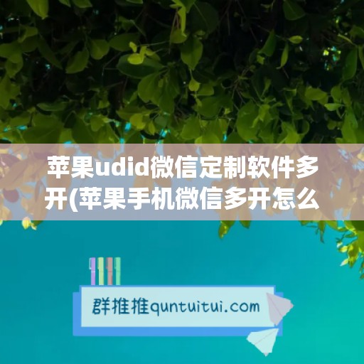 苹果udid微信定制软件多开(苹果手机微信多开怎么安装)