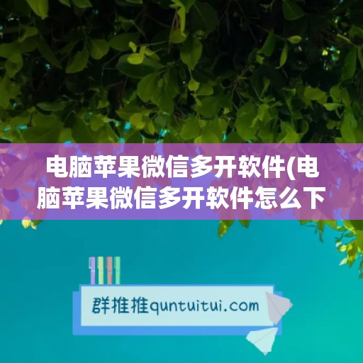 电脑苹果微信多开软件(电脑苹果微信多开软件怎么下载)