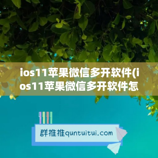 ios11苹果微信多开软件(ios11苹果微信多开软件怎么下载)