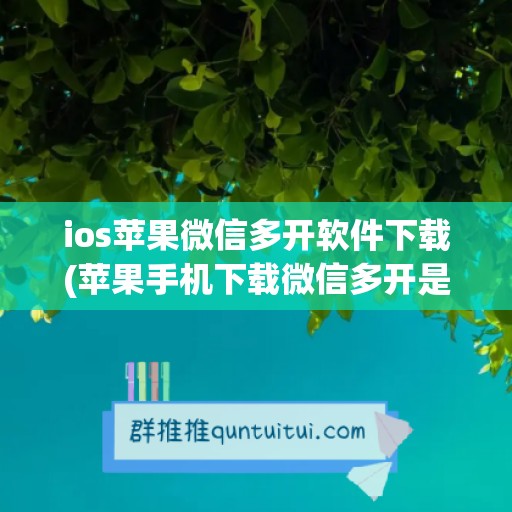 ios苹果微信多开软件下载(苹果手机下载微信多开是哪个软件)