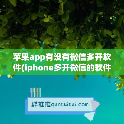 苹果app有没有微信多开软件(iphone多开微信的软件)