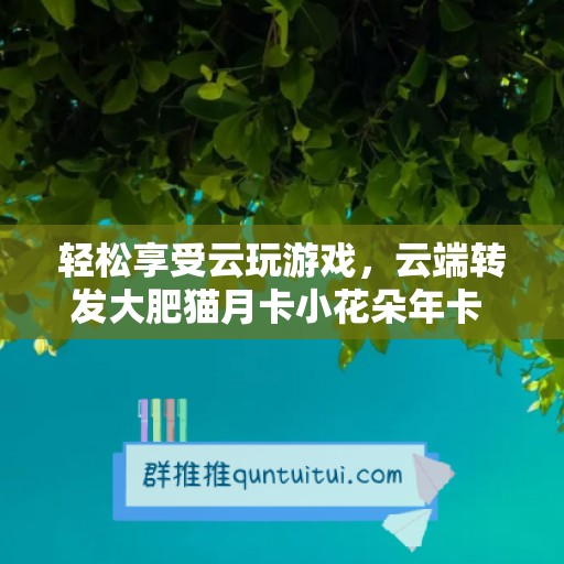 轻松享受云玩游戏，云端转发大肥猫月卡小花朵年卡 【激活码商城】