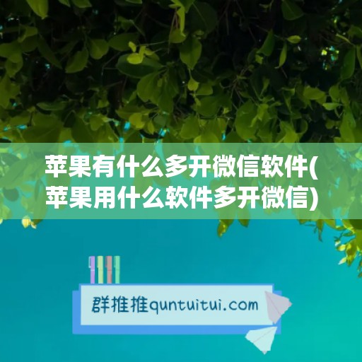 苹果有什么多开微信软件(苹果用什么软件多开微信)