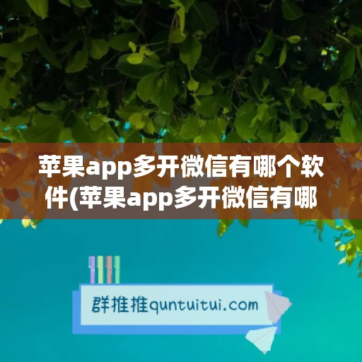 苹果app多开微信有哪个软件(苹果app多开微信有哪个软件可以用)