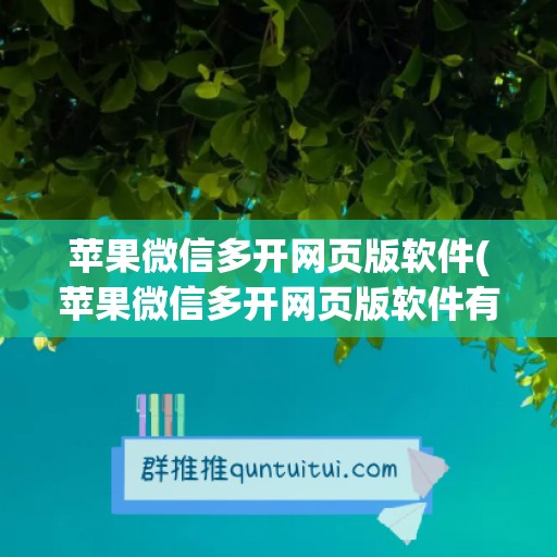 苹果微信多开网页版软件(苹果微信多开网页版软件有哪些)